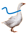 ktdgoska