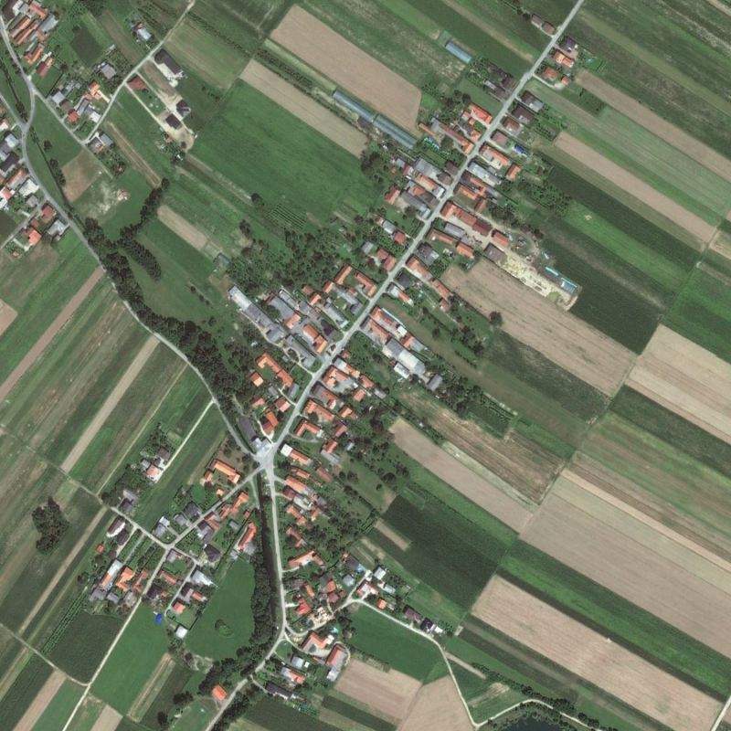 o-vasi